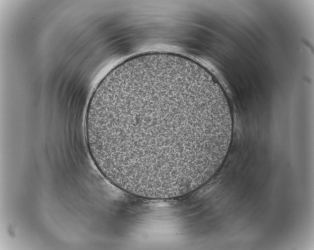 X0000102461199200809051302