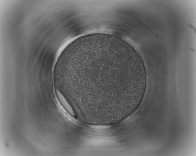 X0000102461200200809051302