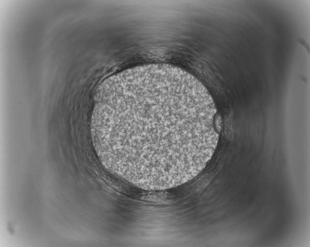 X0000102461201200809051302