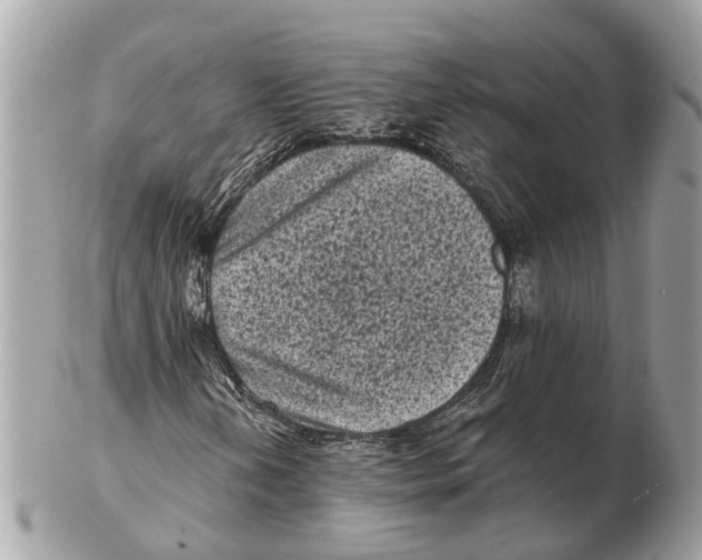 X0000102461202200809051302