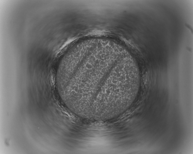 X0000102461206200809051302