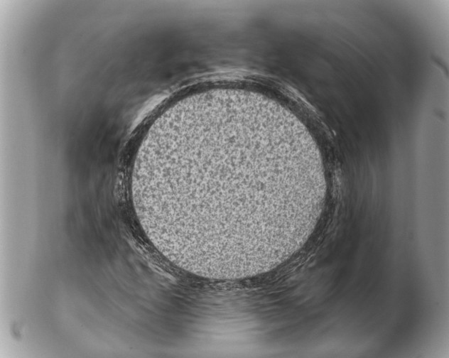 X0000102461208200809051302