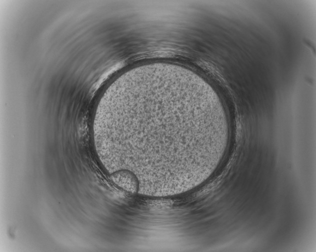 X0000102461210200809051302