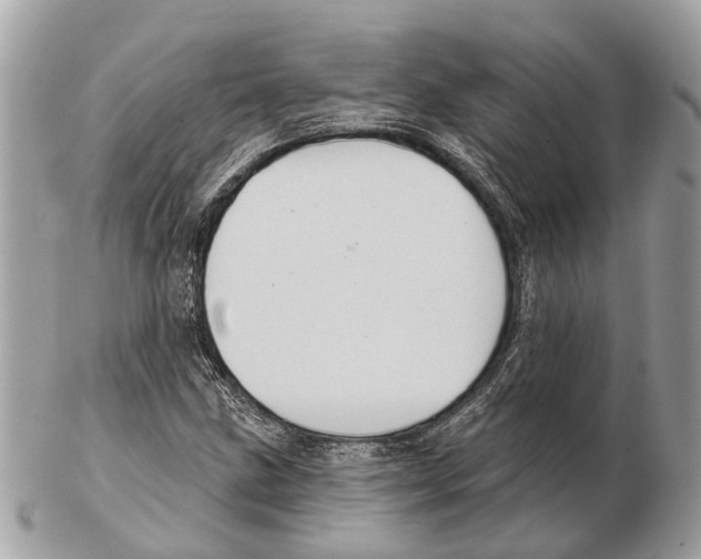 X0000102461211200809051302