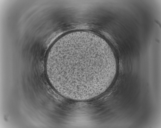 X0000102461212200809051302