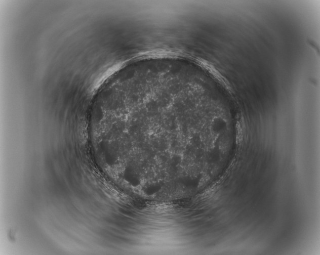 X0000102461213200809051302