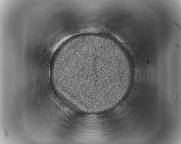X0000102461214200809051302