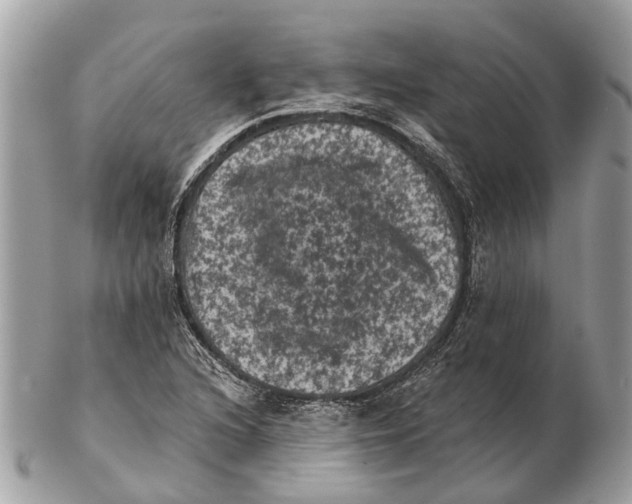 X0000102461216200809051302