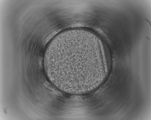 X0000102461217200809051302