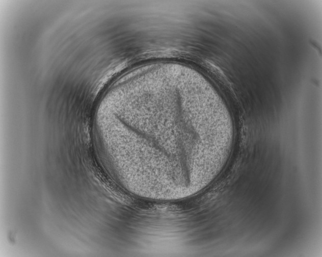 X0000102461218200809051302