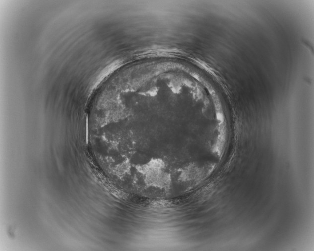 X0000102461219200809051302