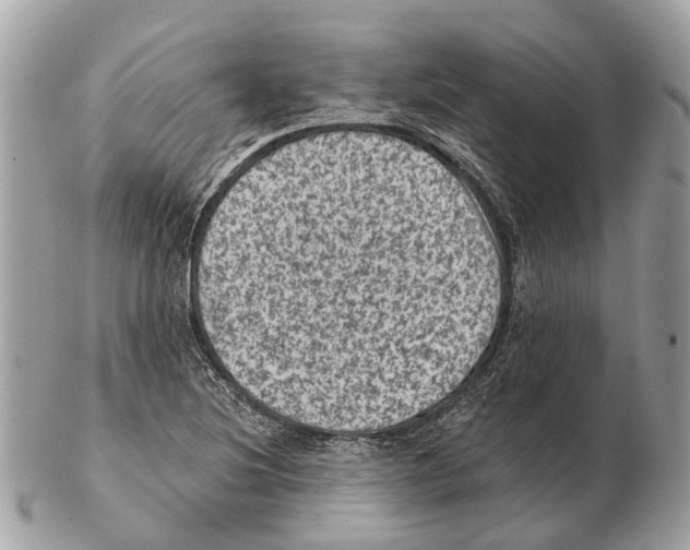 X0000102461220200809051302