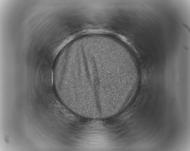 X0000102461221200809051302