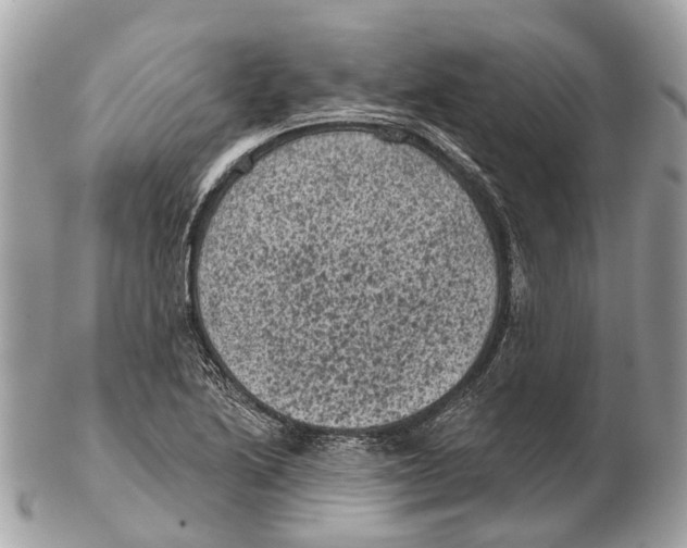 X0000102461222200809051302