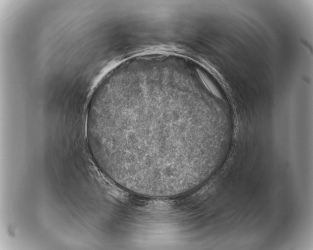 X0000102461224200809051302