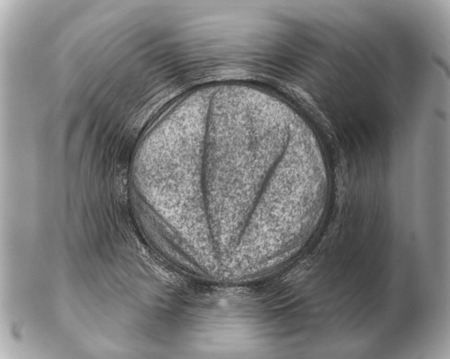 X0000102461225200809051302