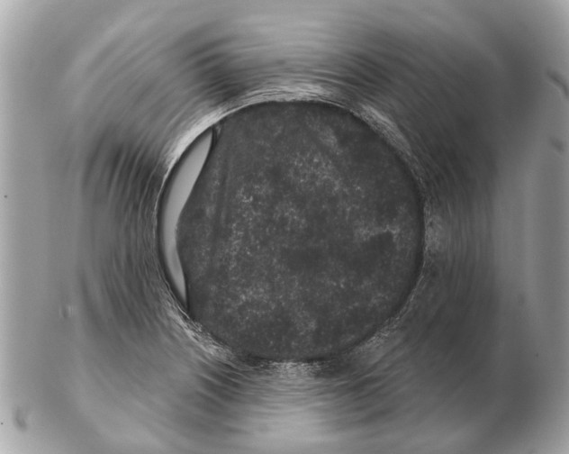 X0000102461226200809051302