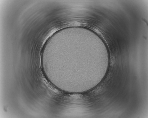 X0000102461227200809051302