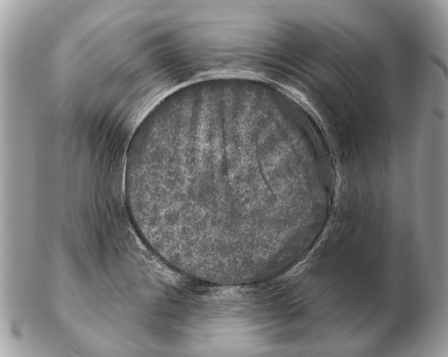 X0000102461228200809051302