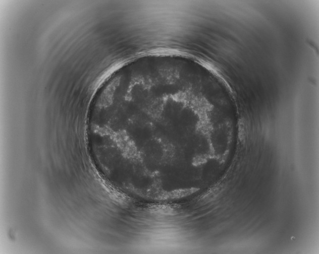 X0000102461229200809051302