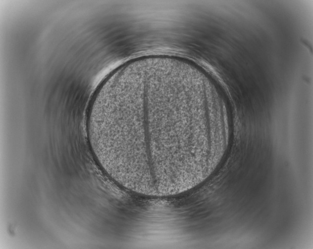 X0000102461230200809051302