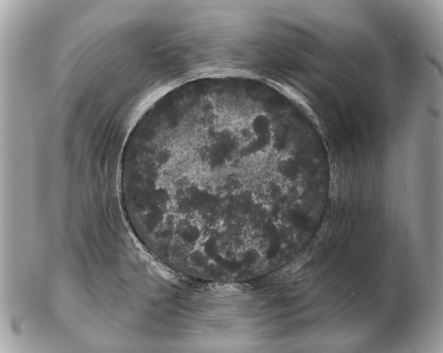 X0000102461231200809051302