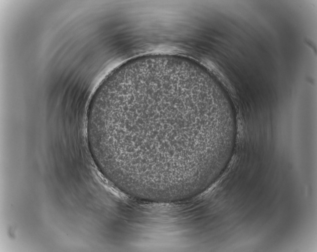 X0000102461232200809051302