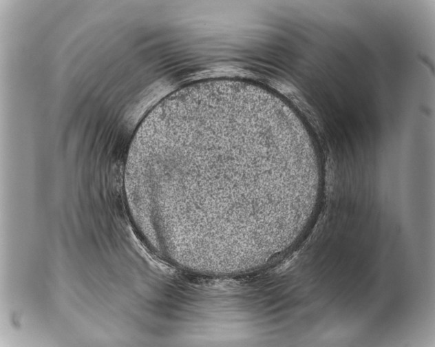 X0000102461233200809051302