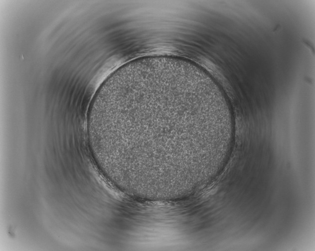 X0000102461234200809051302