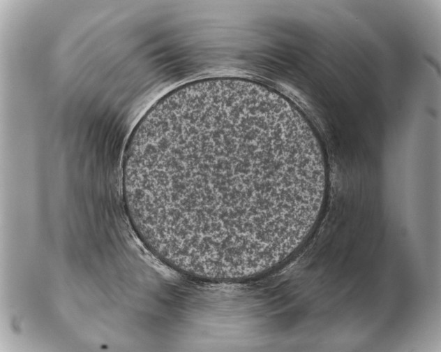 X0000102461236200809051302