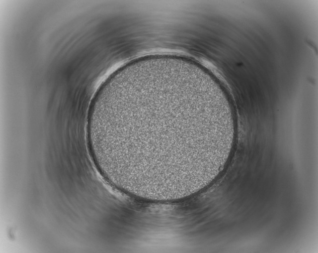 X0000102461237200809051302
