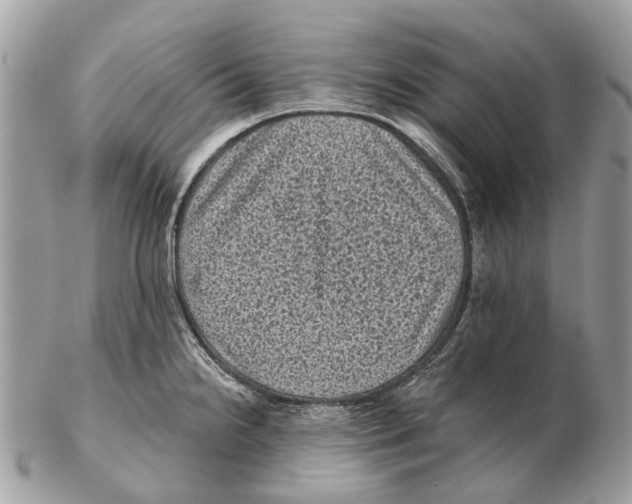 X0000102461238200809051302
