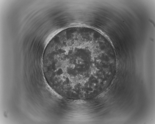 X0000102461239200809051302
