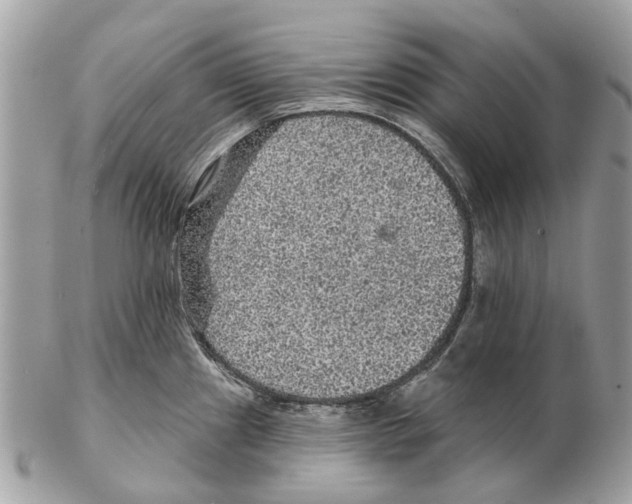 X0000102461241200809051302