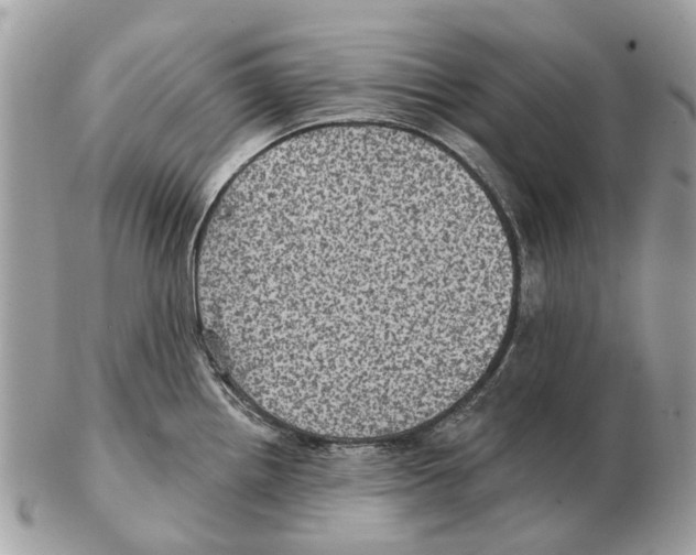 X0000102461242200809051302