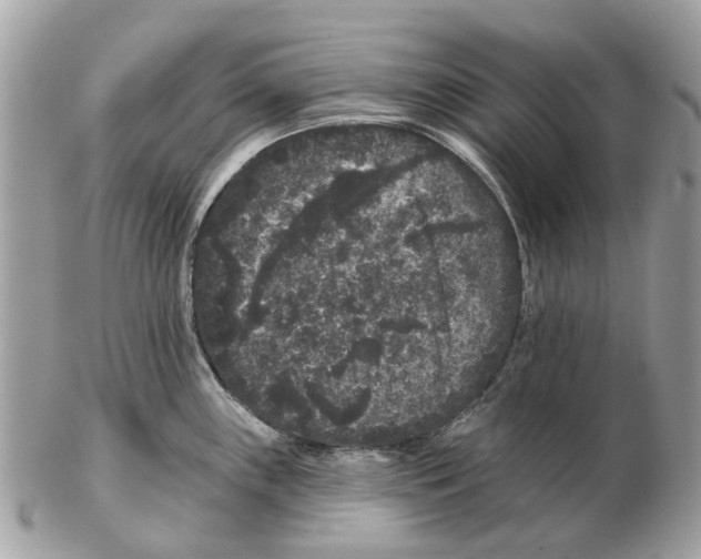 X0000102461243200809051302