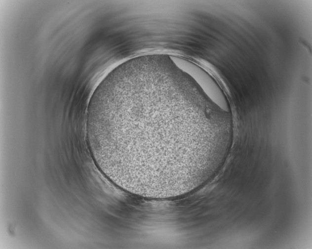 X0000102461244200809051302