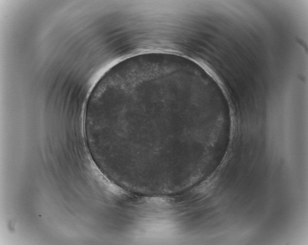 X0000102461246200809051302