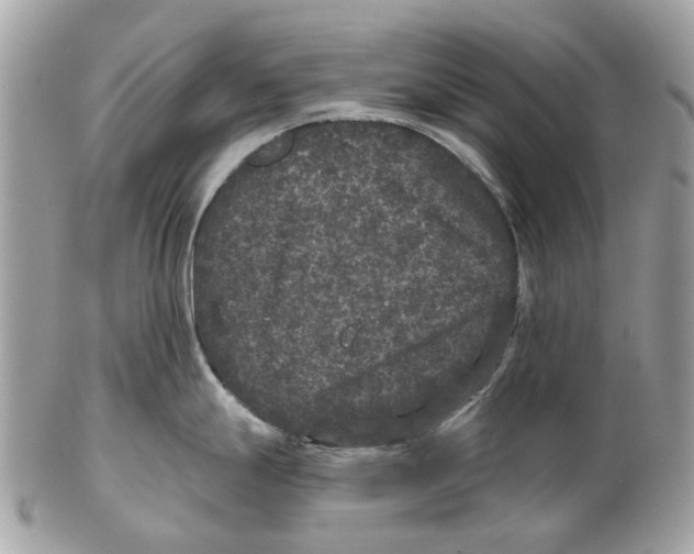 X0000102461247200809051302