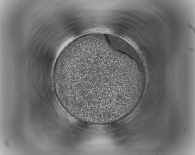 X0000102461248200809051302