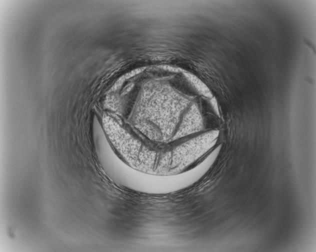 X0000102461249200809051302