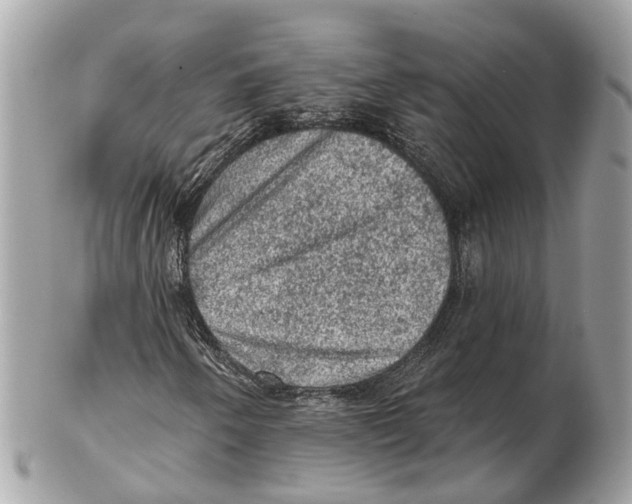 X0000102461250200809051302