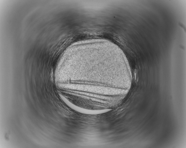 X0000102461251200809051302