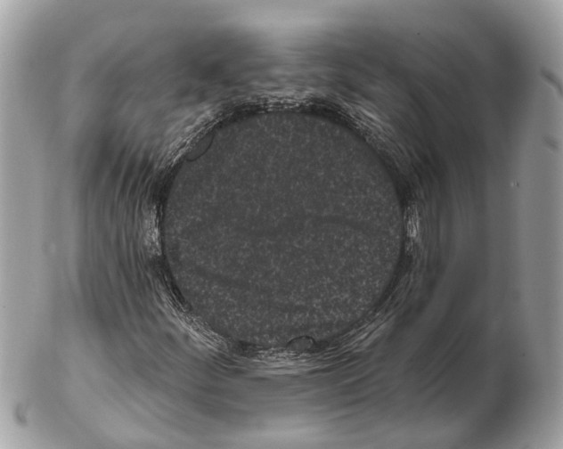 X0000102461252200809051302
