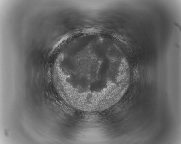 X0000102461254200809051302