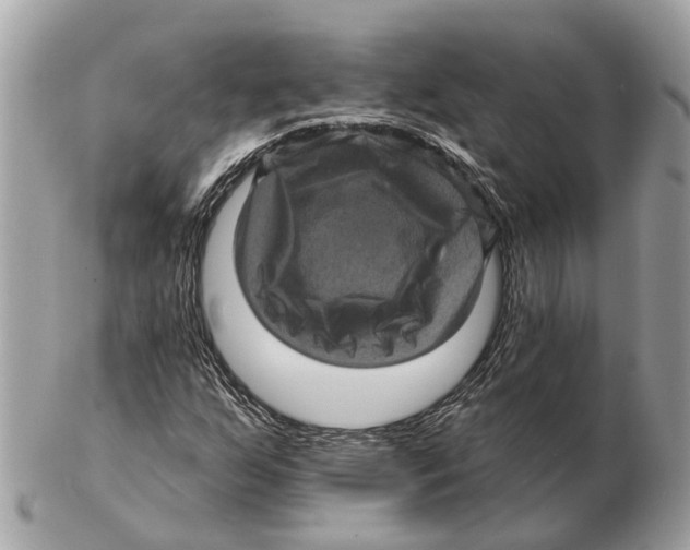 X0000102461255200809051302