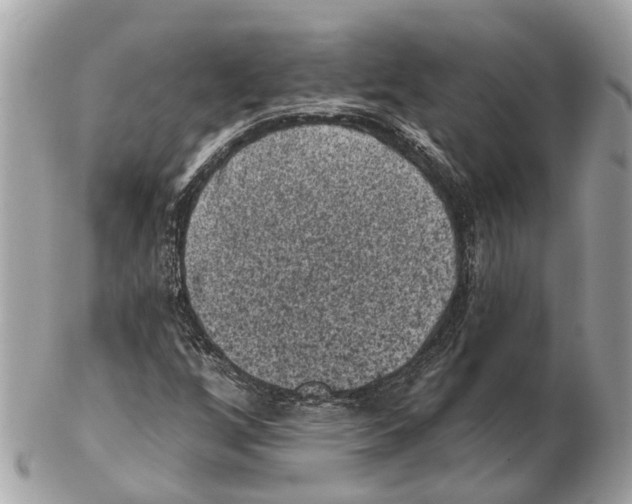 X0000102461256200809051302