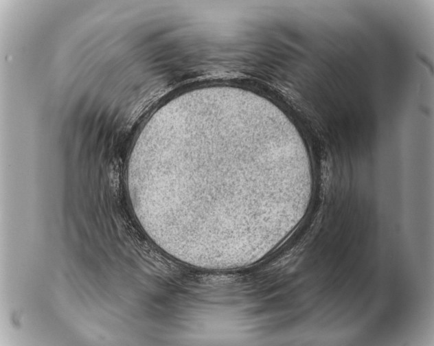 X0000102461257200809051301
