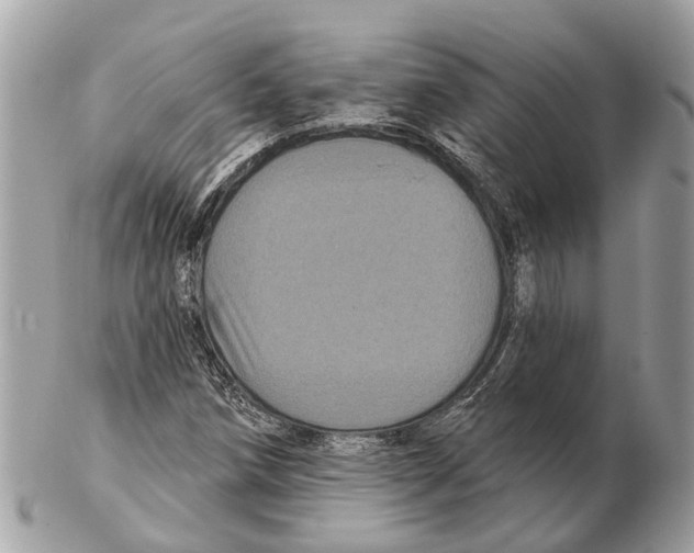 X0000102461258200809051301