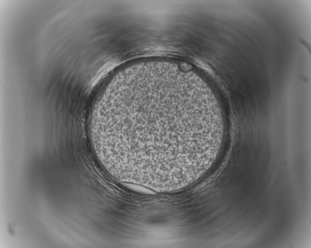 X0000102461259200809051301